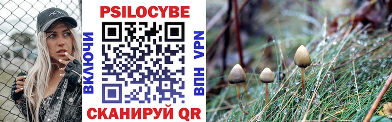 Галлюциногенные грибы Psilocybine cubensis Салехард